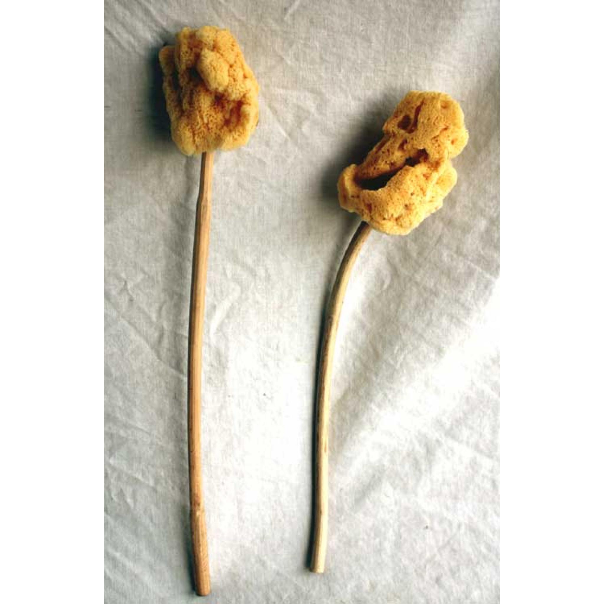 Sponge on Stick