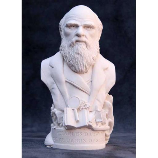 Charles Darwin Bust