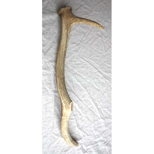 Antler Pick