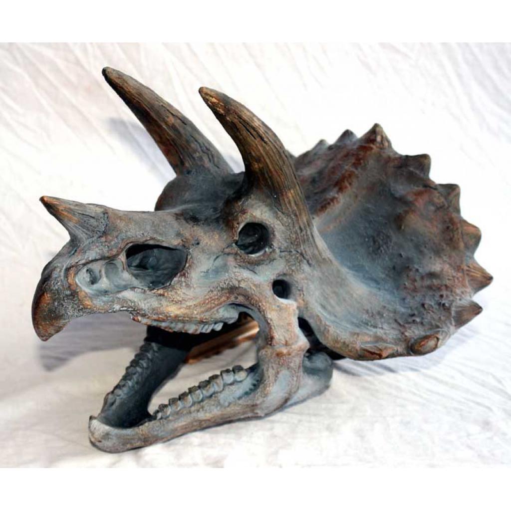 Triceratops Dinosaur Skull Free 3d Model Obj Stl Open - vrogue.co