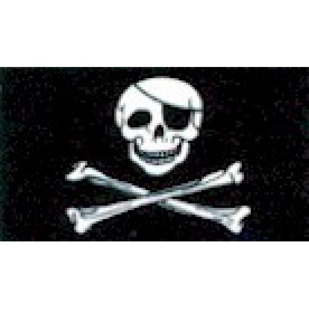 Skull and Crossbones Flag