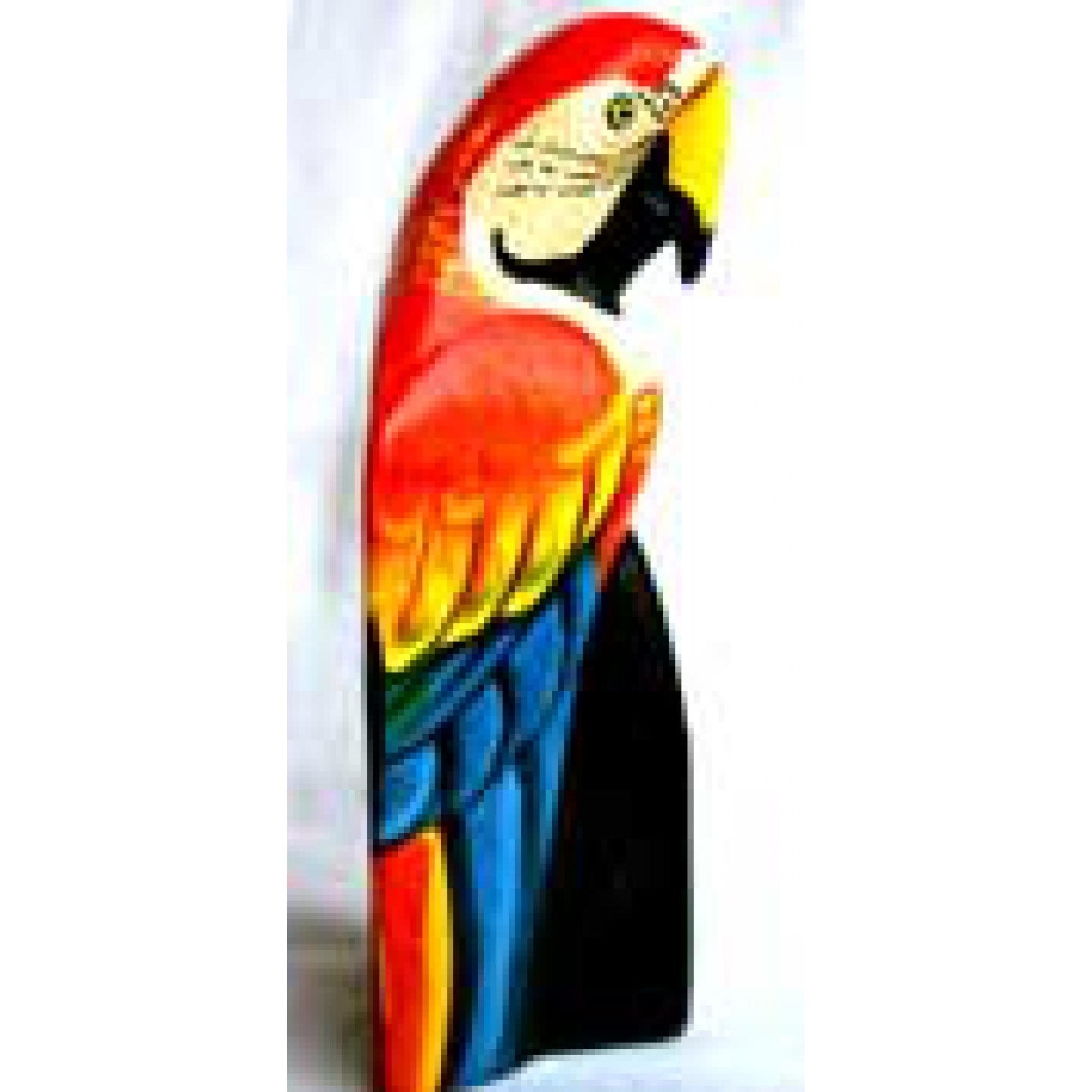 Carved Macaw