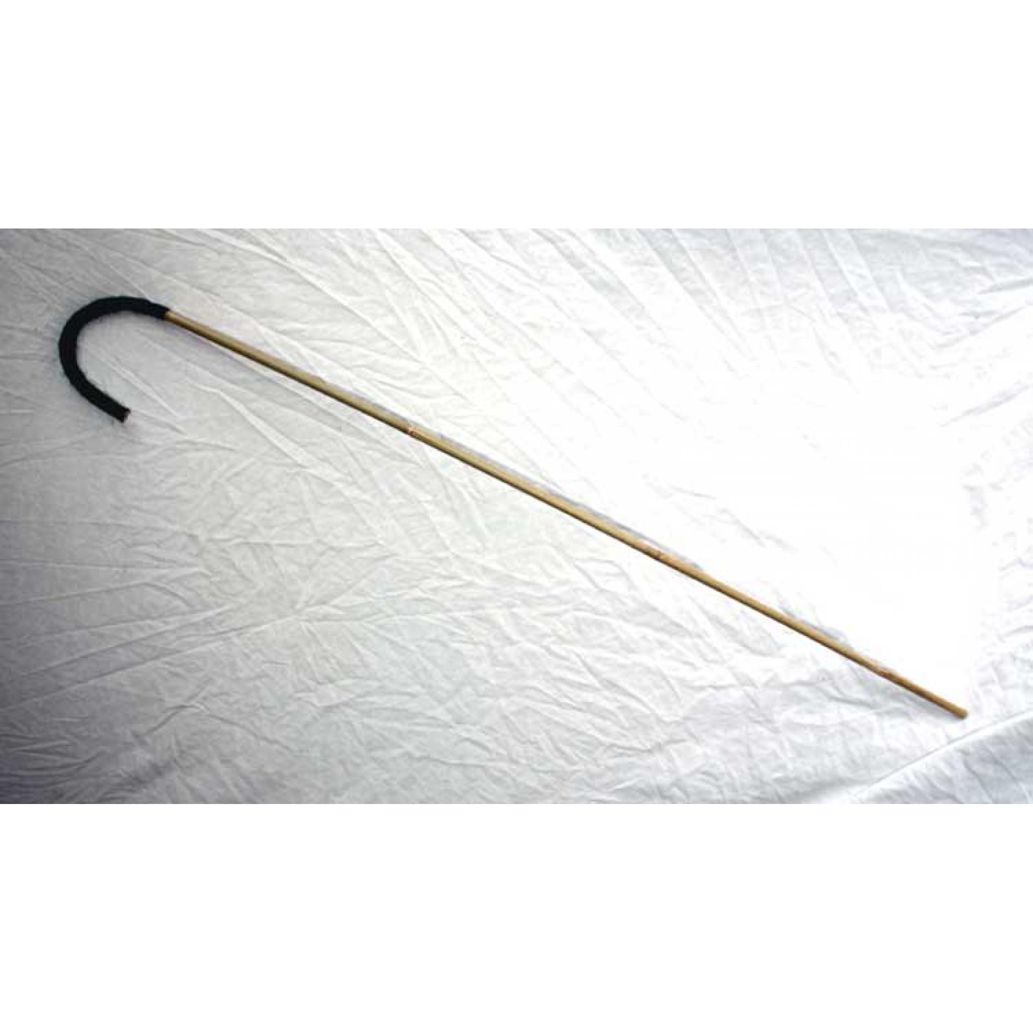 Victorian School Cane