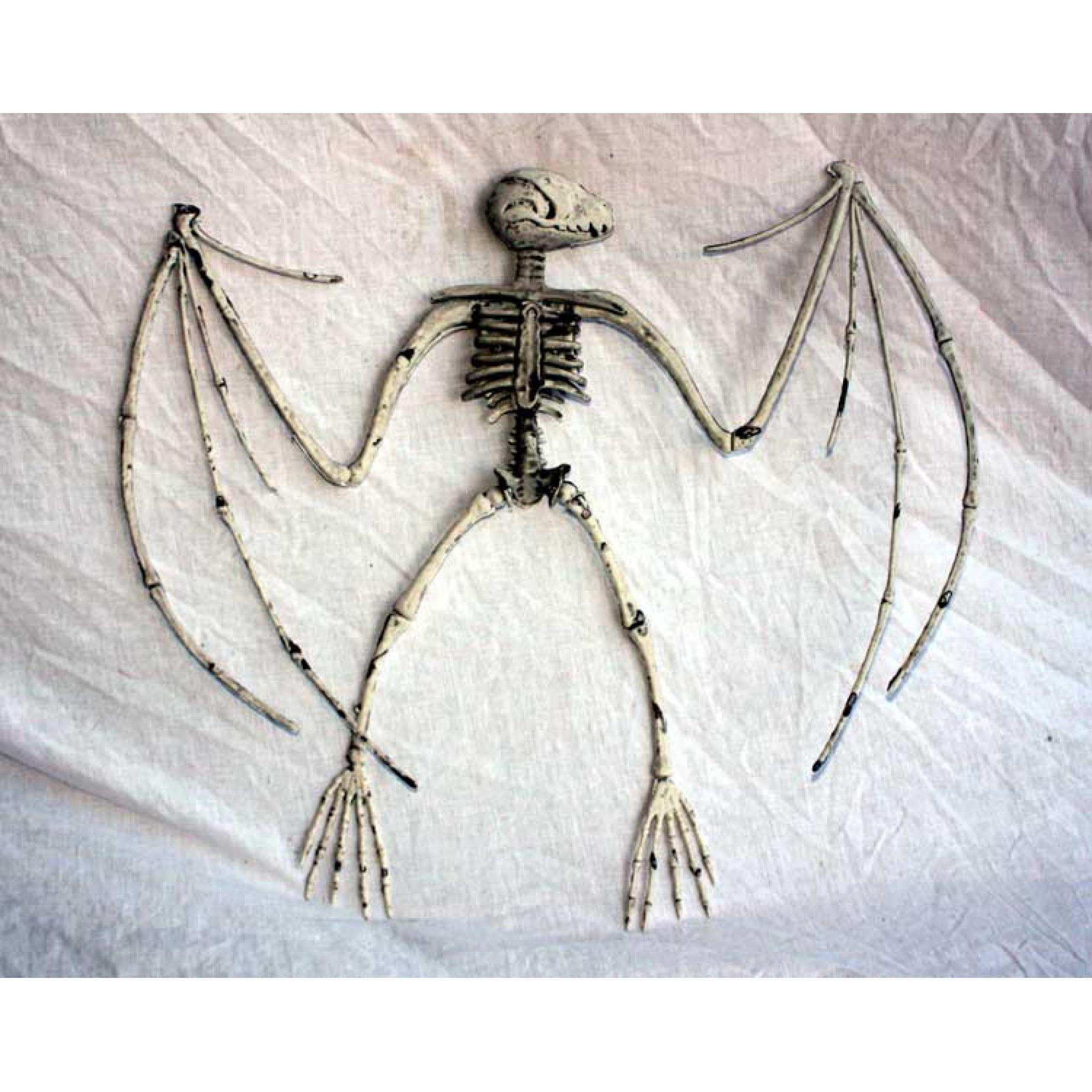 Large Bat Skeleton