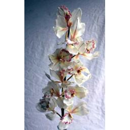 https://starbek-static.myshopblocks.com/images/tmp/nt_202_orchidbr550.jpg