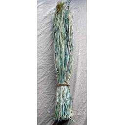 https://starbek-static.myshopblocks.com/images/tmp/nt_250_snakegrass4.8.jpg