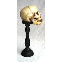 https://starbek-static.myshopblocks.com/images/tmp/nt_352_skull_700a.jpg