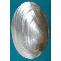 https://starbek-static.myshopblocks.com/images/tmp/se_321_rivermussel1.5.jpg