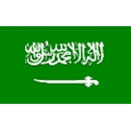 https://starbek-static.myshopblocks.com/images/tmp/fg_224_saudi-arabia.gif