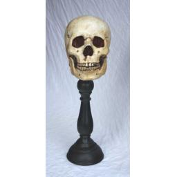 https://starbek-static.myshopblocks.com/images/tmp/nt_352_skull_700b.jpg