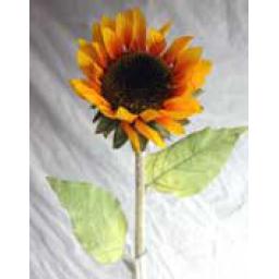 https://starbek-static.myshopblocks.com/images/tmp/nt_304_sunflower1.5.jpg