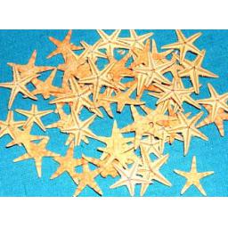 https://starbek-static.myshopblocks.com/images/tmp/se_108_ministarfish2.8.jpg