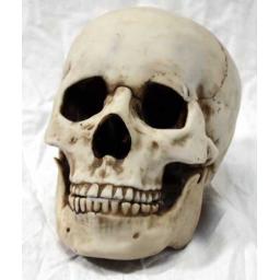 https://starbek-static.myshopblocks.com/images/tmp/nt_321_skull500a.jpg