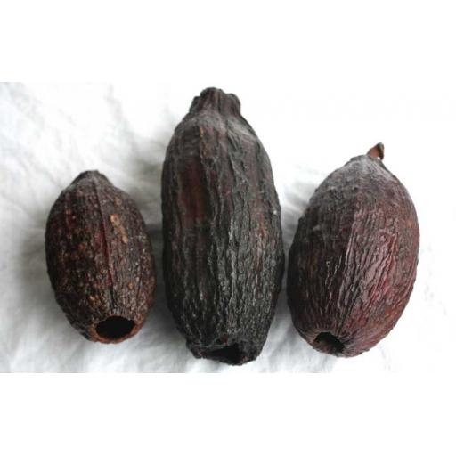 3 x Cocoa Pods