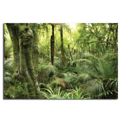 Rainforest Backdrop