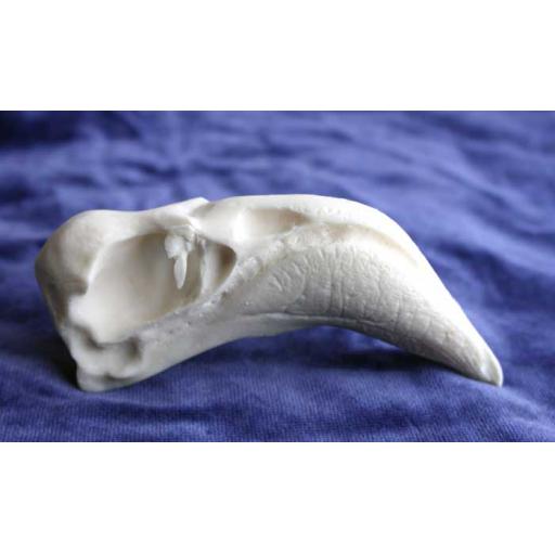 https://starbek-static.myshopblocks.com/images/tmp/nt_276_flamingo_700.jpg