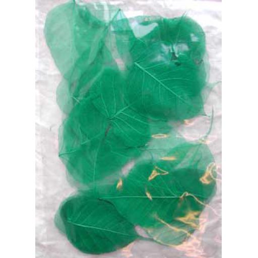 Green Skeleton Leaves