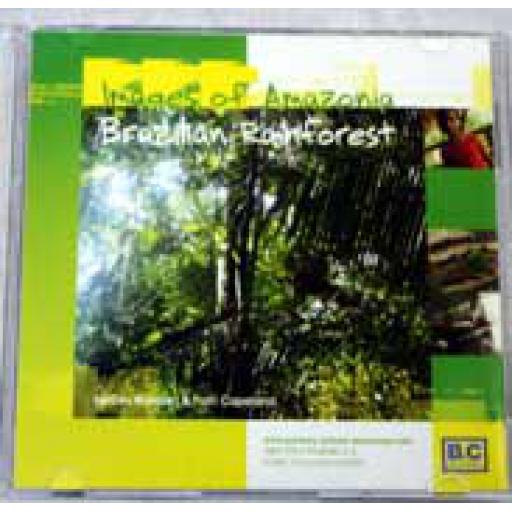 Brazilian Rainforest Images
