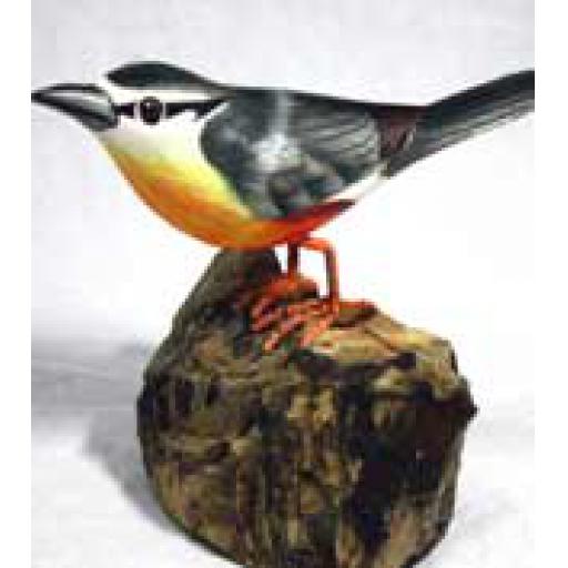 Nuthatch