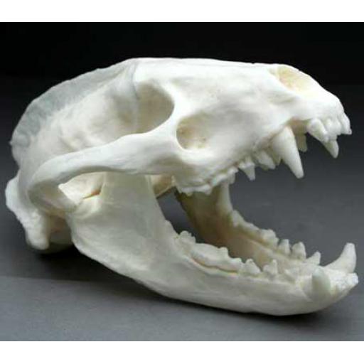 https://starbek-static.myshopblocks.com/images/tmp/nt_408_badger400a.jpg