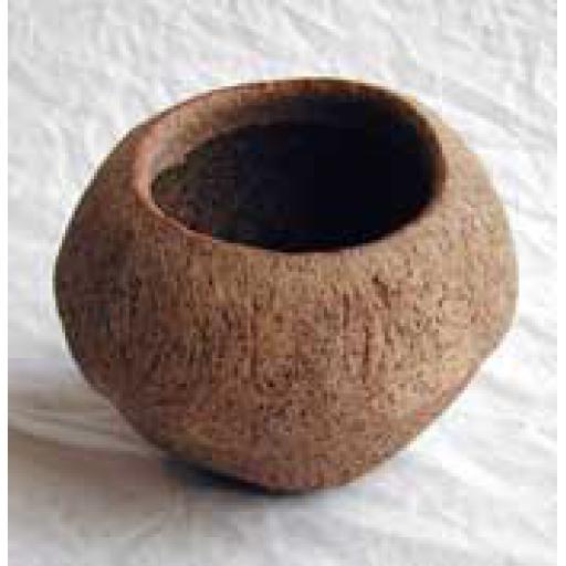 Brazil Nut