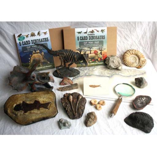 Fossils Approval Box