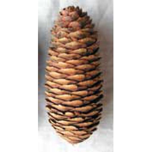 https://starbek-static.myshopblocks.com/images/tmp/nt_163_ryecone1.5.jpg