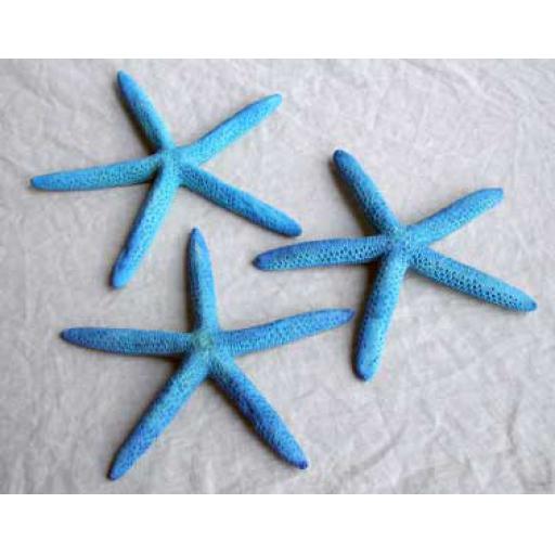 3 x Blue Pointers