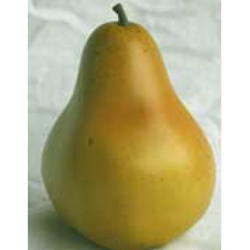 2 x Pears