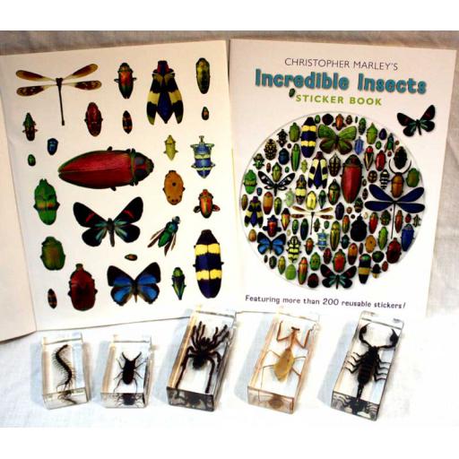 Insects Homebox