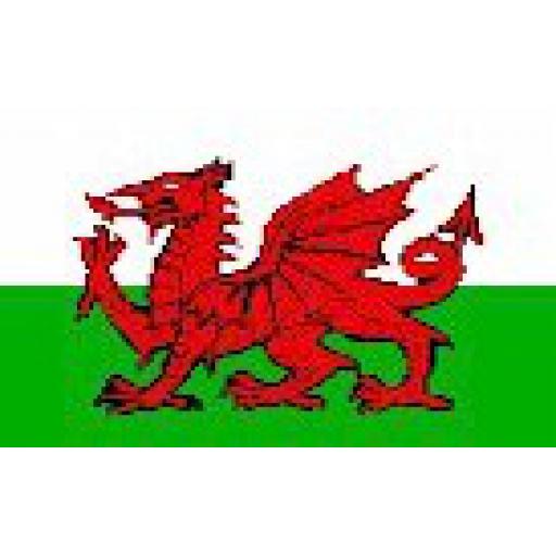 X-Large Flag - Welsh Dragon