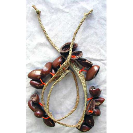 Nut Belt