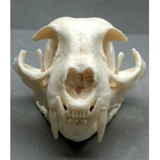 https://starbek-static.myshopblocks.com/images/tmp/nt_406_lynx450a.jpg