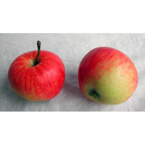 2 x Red Apples
