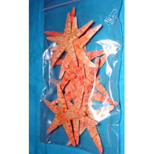 https://starbek-static.myshopblocks.com/images/tmp/se_115b_starfish2.8.jpg
