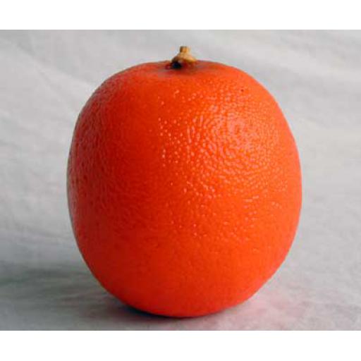 2 x Oranges