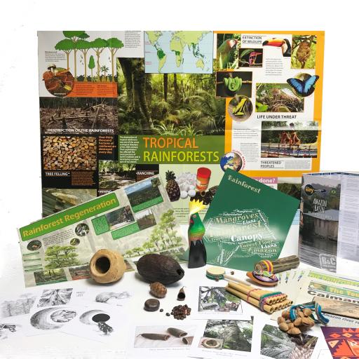 Rainforest Resource Pack