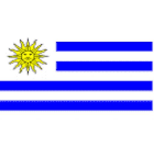 https://starbek-static.myshopblocks.com/images/tmp/fg_273_uruguay.gif