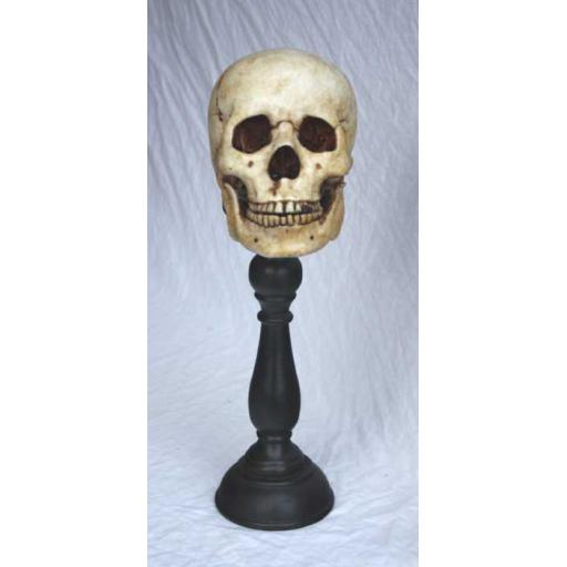 https://starbek-static.myshopblocks.com/images/tmp/nt_352_skull_700b.jpg