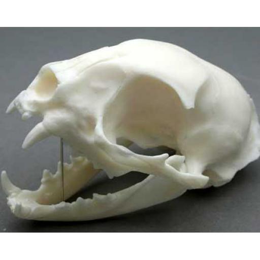 https://starbek-static.myshopblocks.com/images/tmp/nt_402_cat420a.jpg