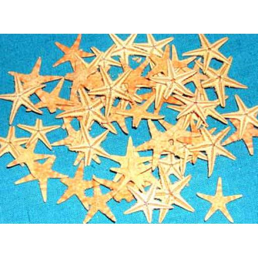 50 x Mini Starfish