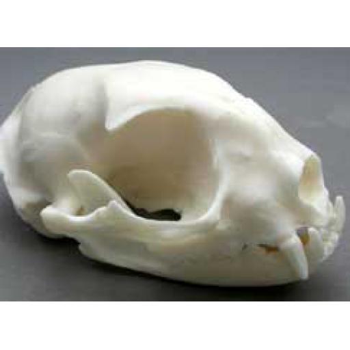 https://starbek-static.myshopblocks.com/images/tmp/nt_402_cat177.jpg