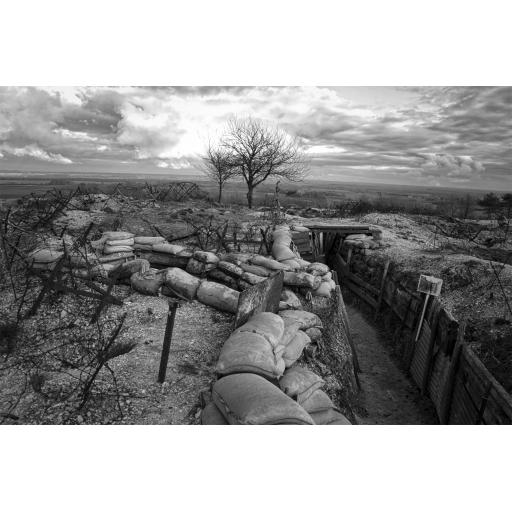 World War One Backdrop