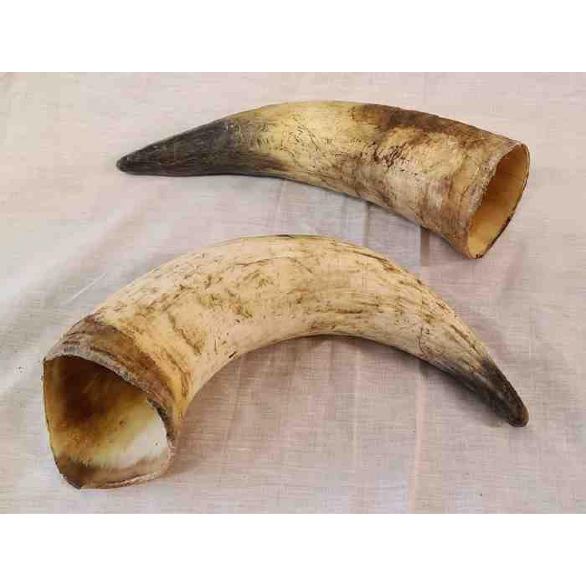 Natural Cow Horn