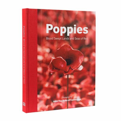 Poppies- Blood Swept Lands and Seas of Red