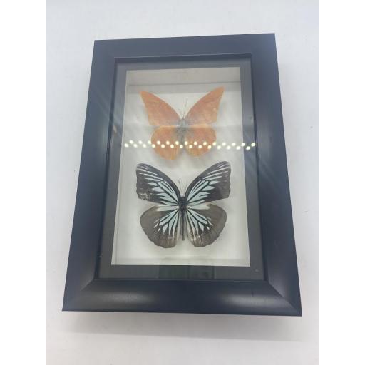Framed Butterfly Pair