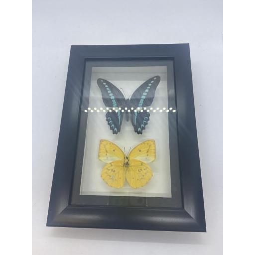 Framed Butterfly Pair