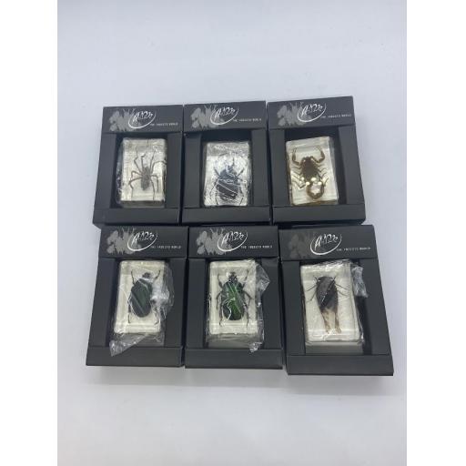 Set of 6 Resin Insects