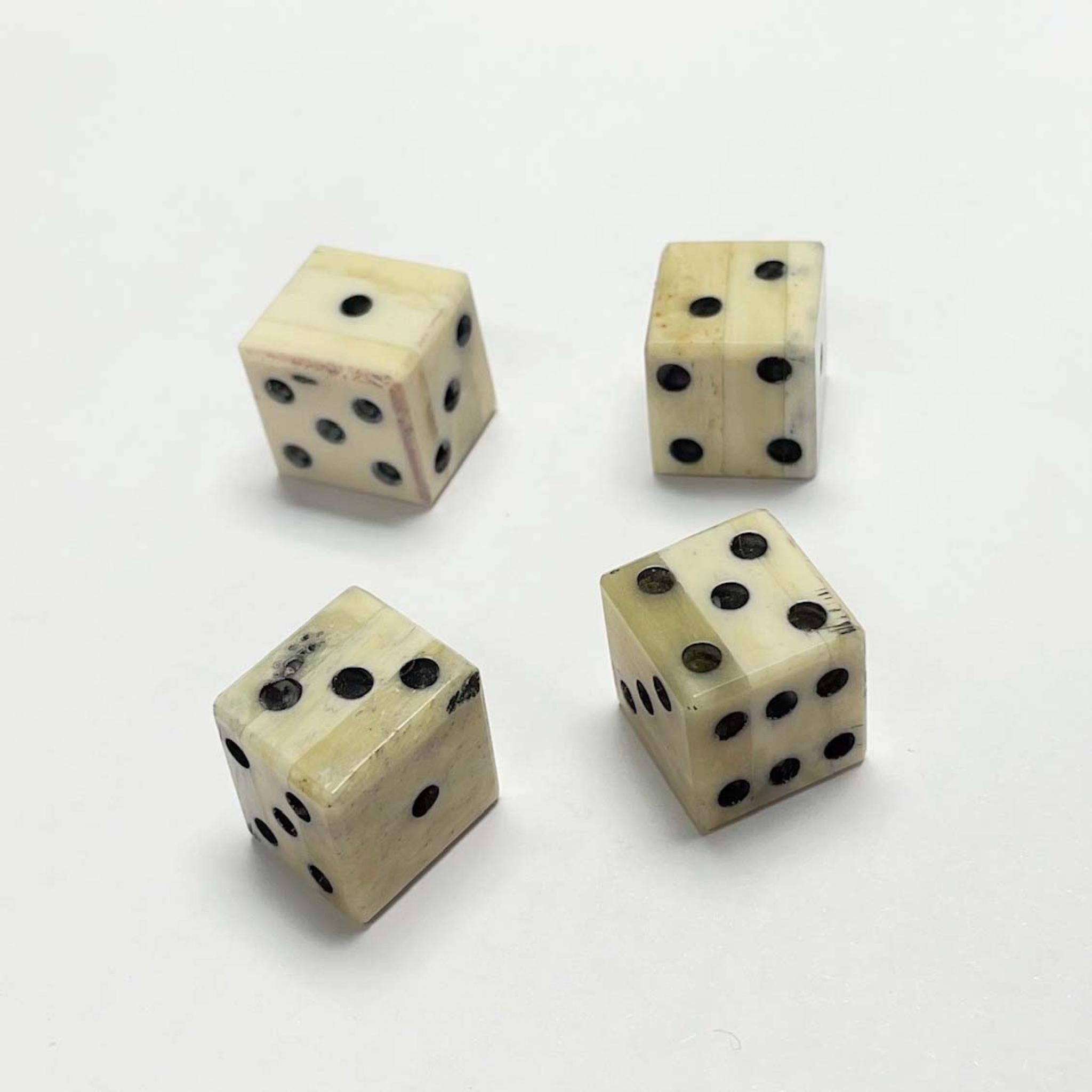 Bison Bone Dice | Starbeck Education