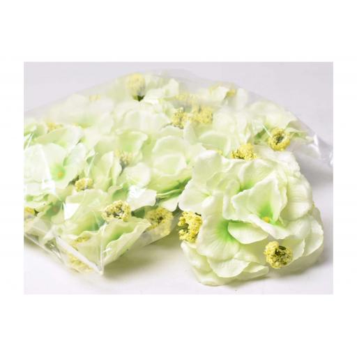 Hydrangea Green x 3